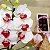Kit Freixenet Rosé, Orquídea & Bolsa Resort - Imagem 11
