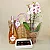 Kit Freixenet Rosé, Orquídea & Bolsa Resort - Imagem 3