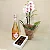 Kit Freixenet Rosé, Orquídea & Bolsa Resort - Imagem 4