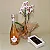 Kit Freixenet Rosé, Orquídea Branca & Chocolates - Imagem 4