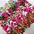 Laço Fuxico Estampado Floral - 10 unidades - Imagem 2