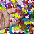Adesivos EVA Glitter Balinha - 20 unidades - Imagem 2