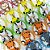 Medalha EVA Safari Mod.2 - 10 unidades - Imagem 2