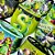 Bandanas Tecido Estampado Shrek - 10 unidades - Imagem 1