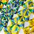 Laço Pescoço Estampado Strass Copa Brasil - 10 unidades - Imagem 1