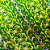 Laço Borboleta EVA Lacinho Pedraria Copa Brasil - 10 unidades - Imagem 2