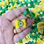 Laço Borboleta Duplo Resinado Pedraria Copa Brasil - 10 unidades - Imagem 2
