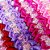 Laço Pinup Decorativo Piscina Florzinha - 10 unidades - Imagem 2