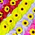 Laço Pescoço Florzinha Girassol - 10 unidades - Imagem 1
