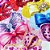 Bandanas Tecido Estampado 3D Laços Luxo - 10 unidades - Imagem 2