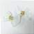 Laço Borboleta Voil Decorativo Strass - 10 unidades - Imagem 7