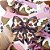Bandanas Tecido Estampado 3D Boiadeira - 10 unidades - Imagem 3
