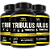 Tribulus Terrestris RN Suplementos – 60 Cápsulas - Imagem 1