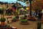 ZZK4 - Day Use 15/Nov - Monte Verde - MG - Imagem 6