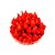 Pimenta Biquinho Vermelha em Conserva 250g - Imagem 2