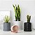 Vaso Para Plantas De Cerâmica Granilite Rosa  12 Cm - Imagem 2
