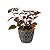 Cachepot Para Plantas De Cerâmica Preto Zig Zag 8 Cm - Imagem 4