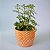 Cachepot Para Plantas De Cerâmica Terracota Zig Zag 8 Cm - Imagem 4