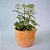 Cachepot Para Plantas De Cerâmica Terracota Zig Zag 8 Cm - Imagem 1
