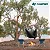 Rede De Descanso Camping Pesca Albatroz Dc-c03 Até 300kg - Imagem 6