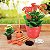 Jogo de Jardinagem para Vasos 4 Peças 78104801 Tramontina - Imagem 2