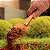 Pazinha Larga Metálica para Jardinagem com Cabo de Madeira 77907001 Tramontina - Imagem 3