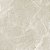 Porcelanato Fuji Sand-84 Polido 84x84CM Retificado Delta - Imagem 1