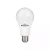 Lampada LED 12w Branca 6500K Bivolt A60 E27 Blumenau 598570 - Imagem 1