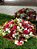 Buquê de Flores Tradicional  18 Rosas - Imagem 1