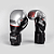 Luva de Boxe e Muay Thai Profissional - Silver - Imagem 1