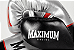 Luva de Boxe e Muay Thai Profissional - Silver - Imagem 4