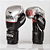 Luva de Boxe e Muay Thai Profissional - Silver - Imagem 1