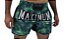 Shorts de Muay Thai Maximum Folhas Verde - Logo Prata - Imagem 3