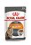 Sachê Royal Canin Gatos Adultos Intense Beauty 85g - Imagem 1