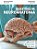 Livro "Questões de Neuroanatomia" - 1a. Edição - Imagem 1