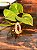 Anel Hippie Mystic | Geodo I - Imagem 2