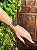 Bracelete Mystic | DeepBlack - Imagem 2