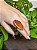Anel Mystic | DeepOrange - Imagem 1