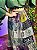 Saia Indie - Imagem 2