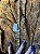 Vestido Tribal | Ferrugem (bazar) - Imagem 4