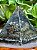 Orgonite | Pirita I - Imagem 1