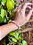 Pulseira | Quartzo Rosa - Imagem 1