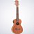 UKULELE CONCERTO ELÉTRO NAMASTÊ NU23MGQE 334 - Imagem 1
