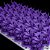 Resina 3D de Modelo - WW Model Violet - 1Kg - Imagem 3