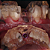 Resina 3D Odontológica PrintaX DD Guide Biocompatível 500g - Imagem 4
