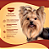 Ração Quatree Gourmet Cães Adultos Raças Pequenas 10 kg - Imagem 3