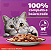 Ração Úmida Whiskas Sachê Carne ao Molho Gatos Adultos 85 g - Imagem 2