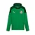 Jaqueta Casual Do Palmeiras De Torcedor 2024 - Imagem 1
