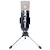 Set Microfone Standard Condensador com Shockmount BM700 - Imagem 2