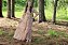 Vestido Serena - Imagem 3